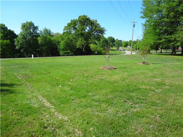 1329 Oak Grove Road Goodspring, TN 38460 - Photo 17 of 20 a view of a park with large trees