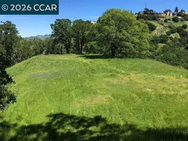 283 Castle Hill Ranch Road Walnut Creek, CA 94595 - Photo 16 of 27 a view of a green field