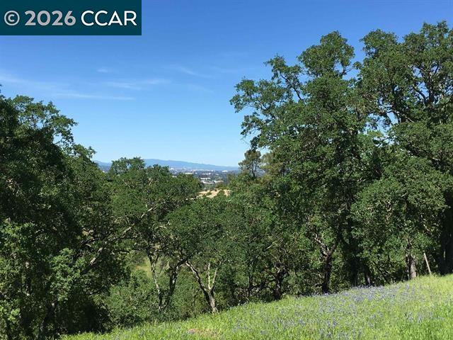 283 Castle Hill Ranch Road Walnut Creek, CA 94595 - Photo 22 of 27 a view of a field