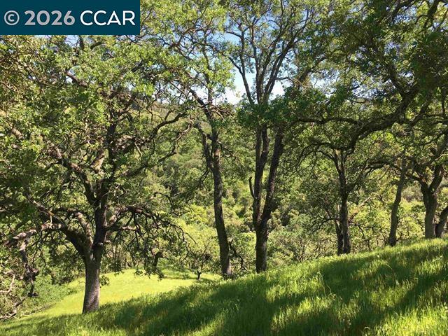 283 Castle Hill Ranch Road Walnut Creek, CA 94595 - Photo 24 of 27 a view of a sign of a park