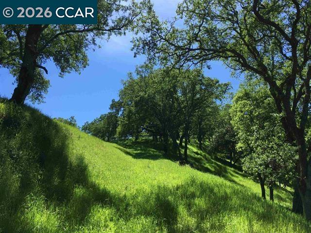 283 Castle Hill Ranch Road Walnut Creek, CA 94595 - Photo 25 of 27 a view of a field