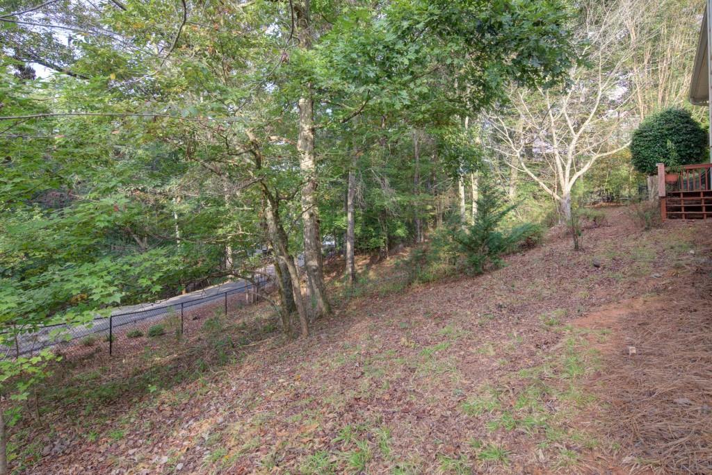 1170 Calhoun Road Dahlonega, GA 30533 - Photo 25 of 34 a view of a forest filled with trees