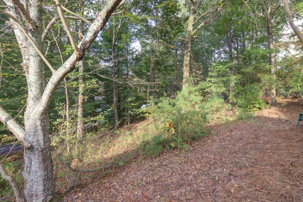 1170 Calhoun Road Dahlonega, GA 30533 - Photo 26 of 34 a view of a yard with plants and trees