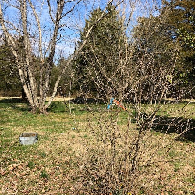12350 Patterson Road Rockvale, TN 37153 - Photo 20 of 25 Gallery Image 20