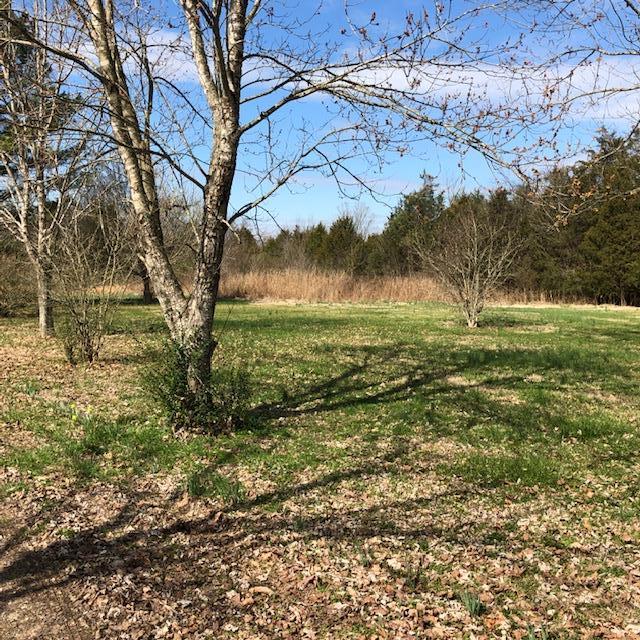 12350 Patterson Road Rockvale, TN 37153 - Photo 21 of 25 Wonderful land