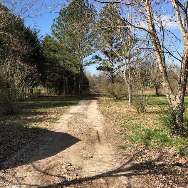 12350 Patterson Road Rockvale, TN 37153 - Photo 22 of 25 driveway to house