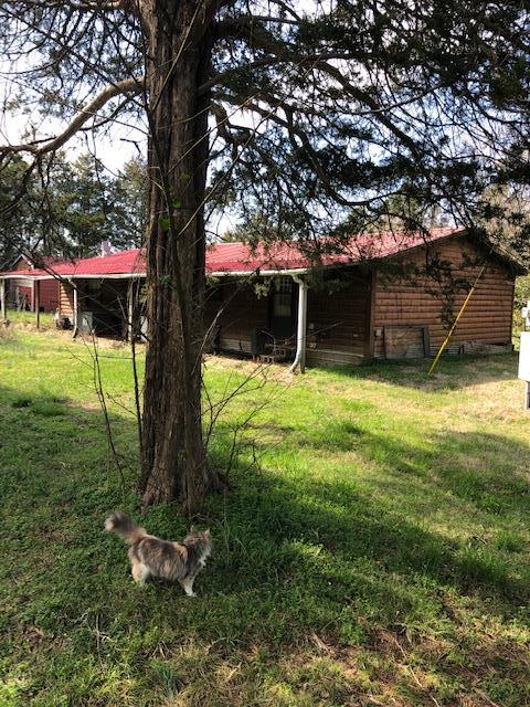 12350 Patterson Road Rockvale, TN 37153 - Photo 3 of 25 view from rear
