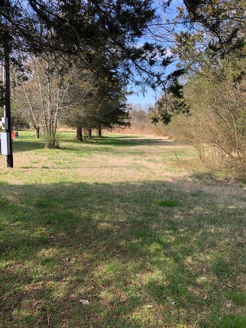 12350 Patterson Road Rockvale, TN 37153 - Photo 4 of 25 beautiful land