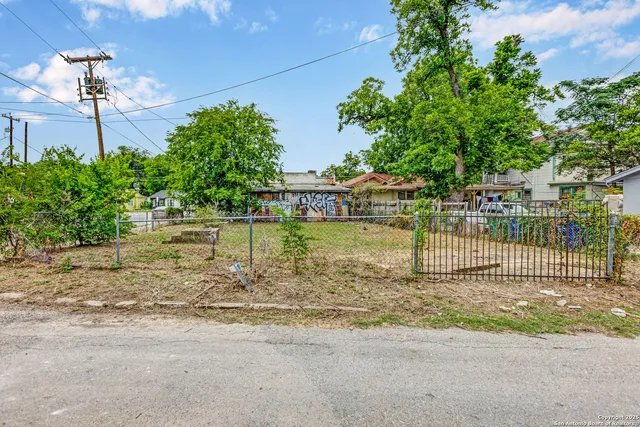 a view of a yard with plants