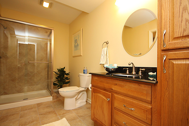 901 Price Road Sugar Grove, IL 60554 - Photo 22 of 25 a bathroom with a sink mirror toilet and bathtub