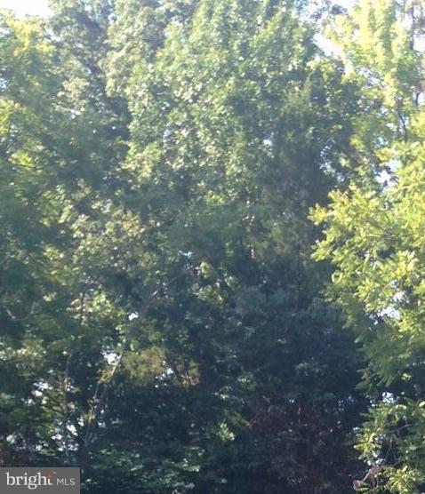 Floral Park Road Clinton, MD 20735 - Photo 1 of 1 Wooded Lot