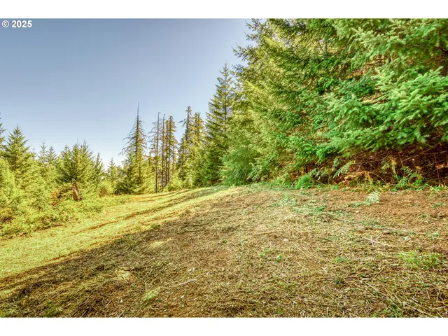 $560,000 | 22650 Doane Creek Road, Sheridan, OR 97378