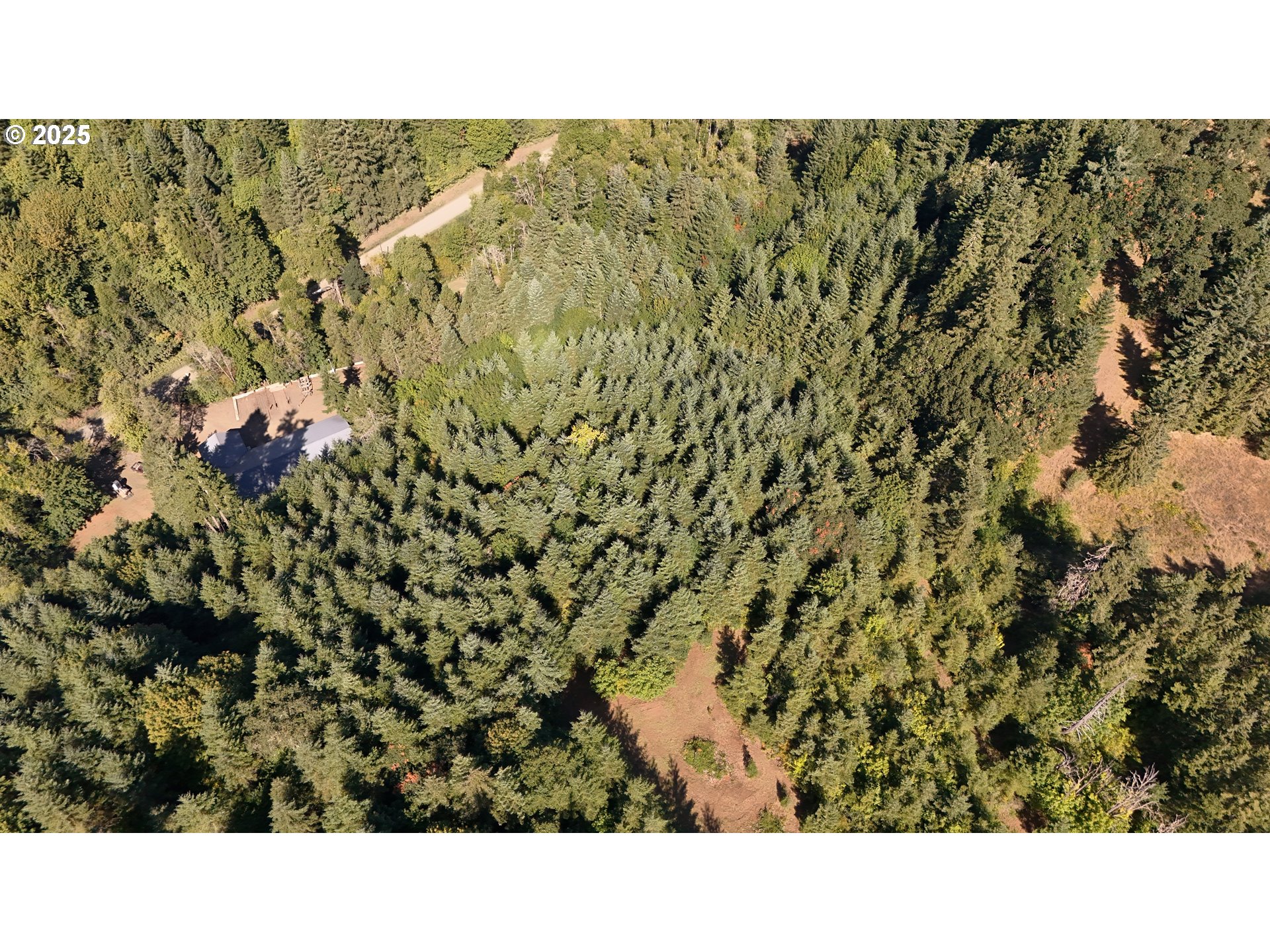 22650 Doane Creek Road Sheridan, OR 97378 - Photo 22 of 31