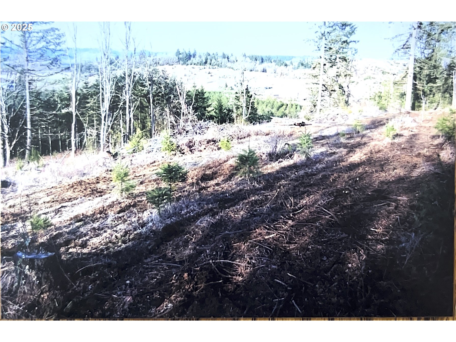 22650 Doane Creek Road Sheridan, OR 97378 - Photo 30 of 31 View