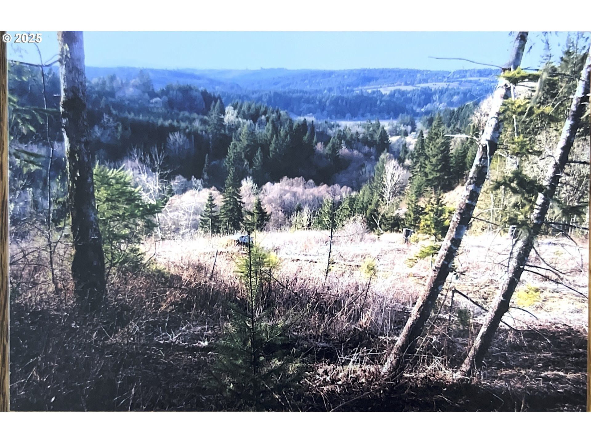 22650 Doane Creek Road Sheridan, OR 97378 - Photo 31 of 31 View