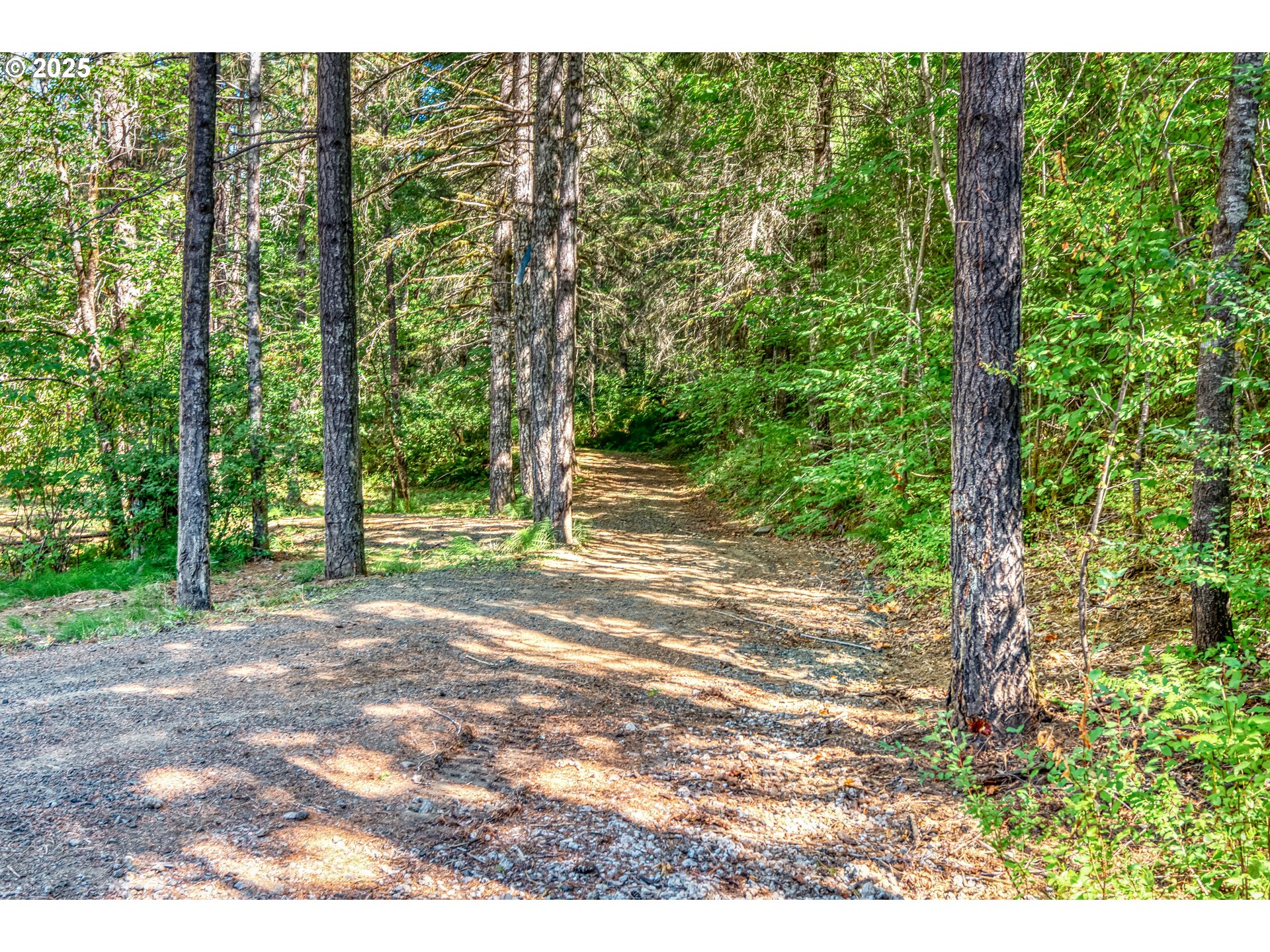 22650 Doane Creek Road Sheridan, OR 97378 - Photo 5 of 31