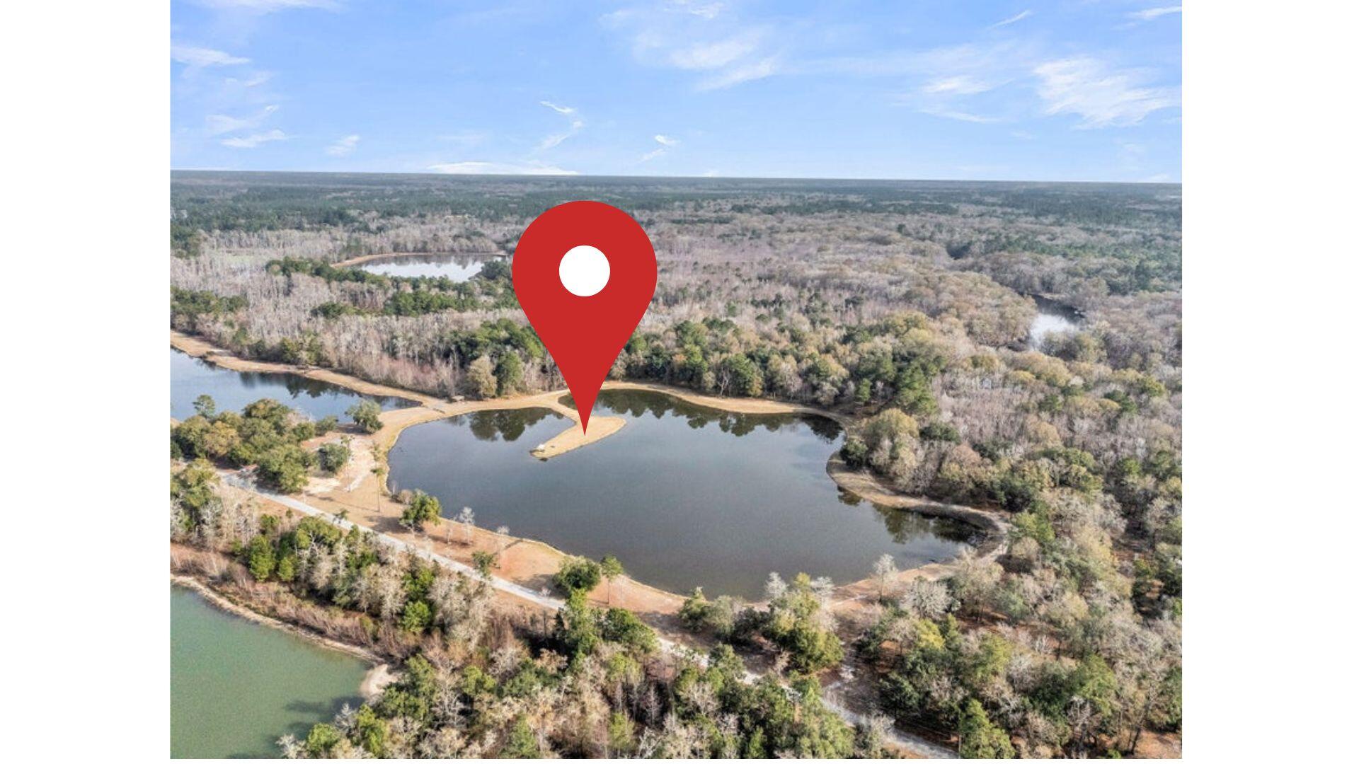 335 Pine Bluff Road Dorchester, SC 29437 - Photo 3 of 5 3