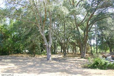 14221 Cemetery Road Fort Myers, FL 33905 - Photo 1 of 4 a tree in the middle of a yard
