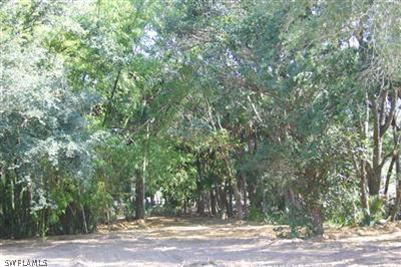 14221 Cemetery Road Fort Myers, FL 33905 - Photo 4 of 4 a view of a yard with plants and large trees