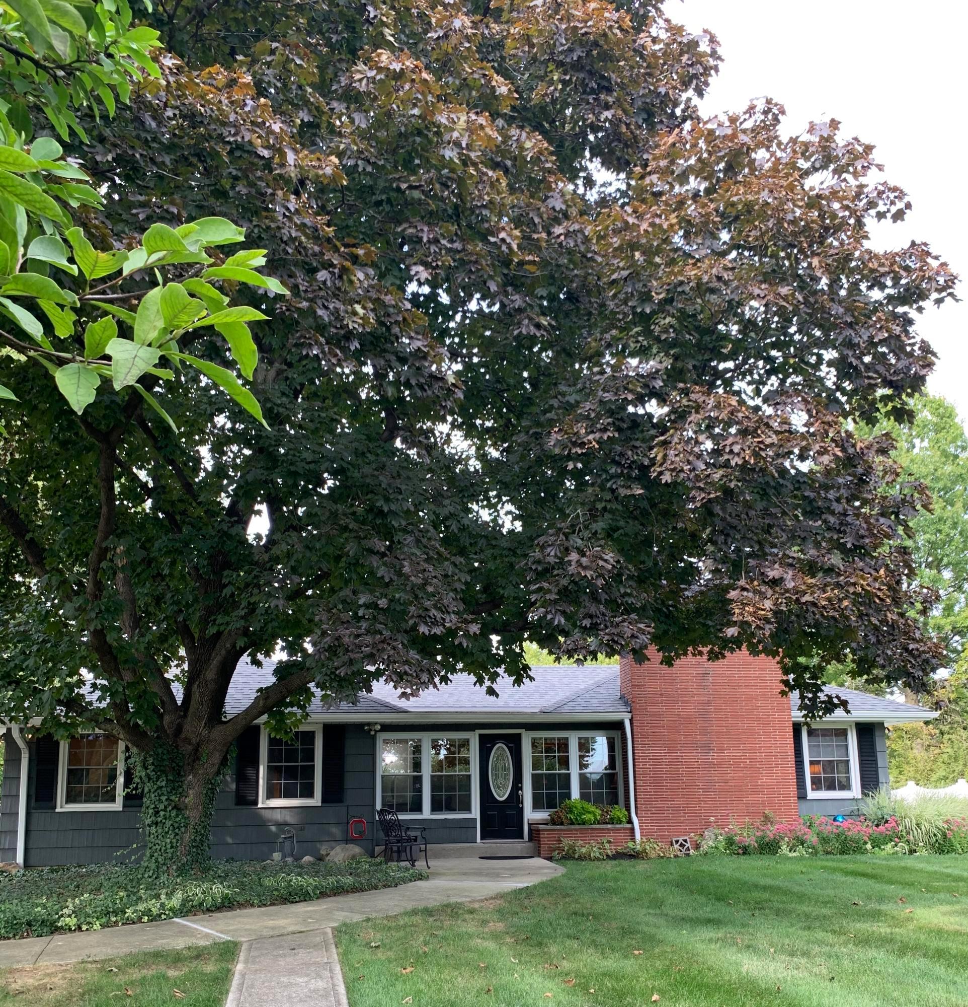 1870 McCoy Road Columbus, OH 43220 - Photo 2 of 46