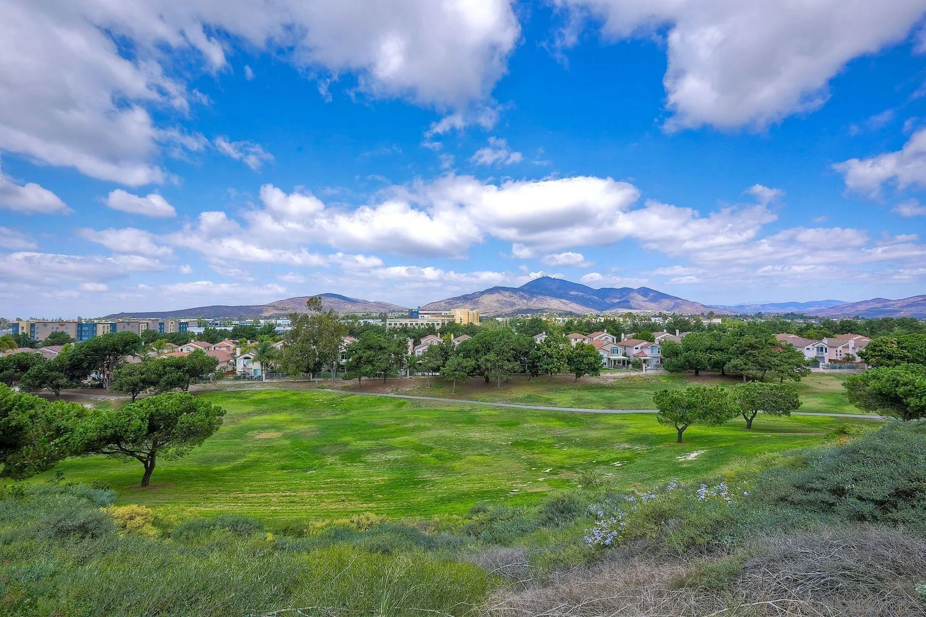 2479 Golfcrest Loop Chula Vista, CA 91915 - Photo 1 of 25 a view of a city with lush green forest
