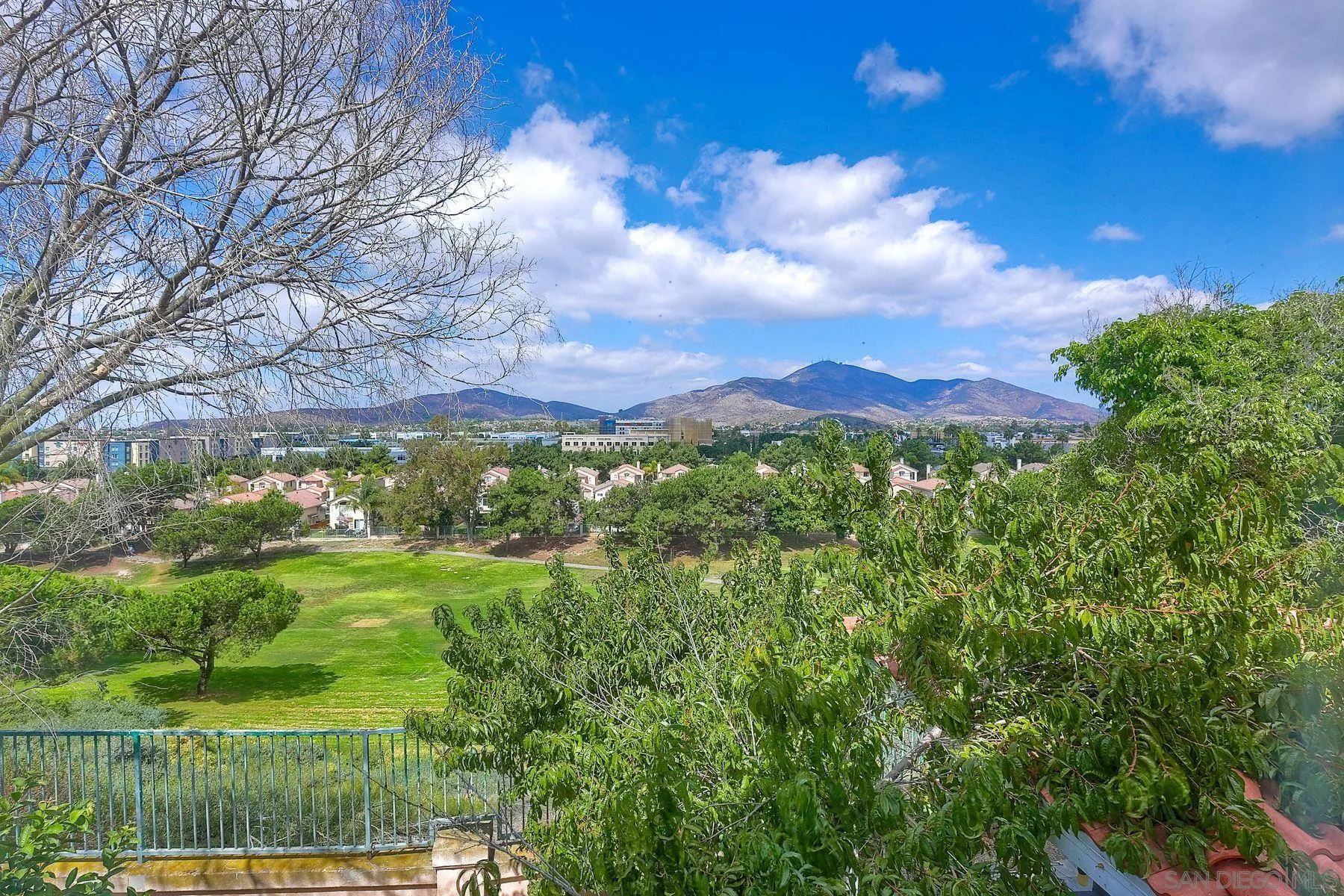 2479 Golfcrest Loop Chula Vista, CA 91915 - Photo 25 of 25 a view of a garden with an trees