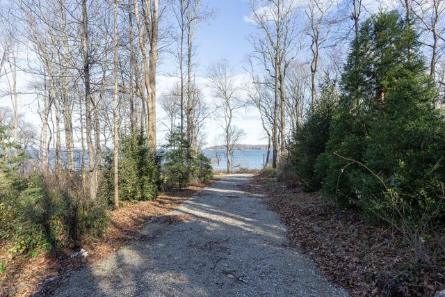 a view of a forest filled with trees
