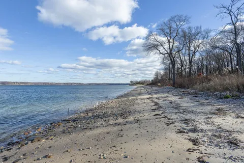 a view of a dry yard with trees