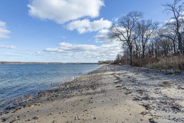 a view of a dry yard with trees
