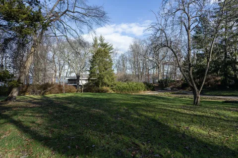 a view of a grassy field with trees