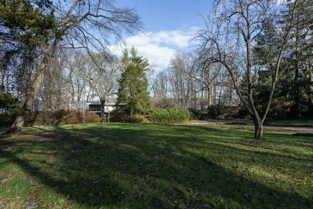 a view of a grassy field with trees