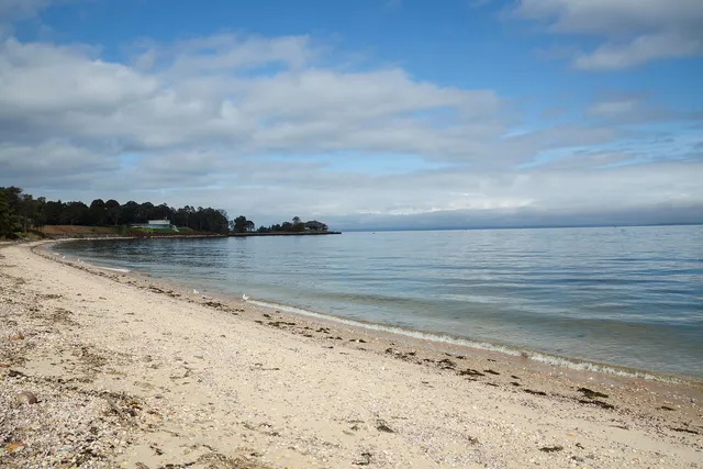 a view of beach and ocean