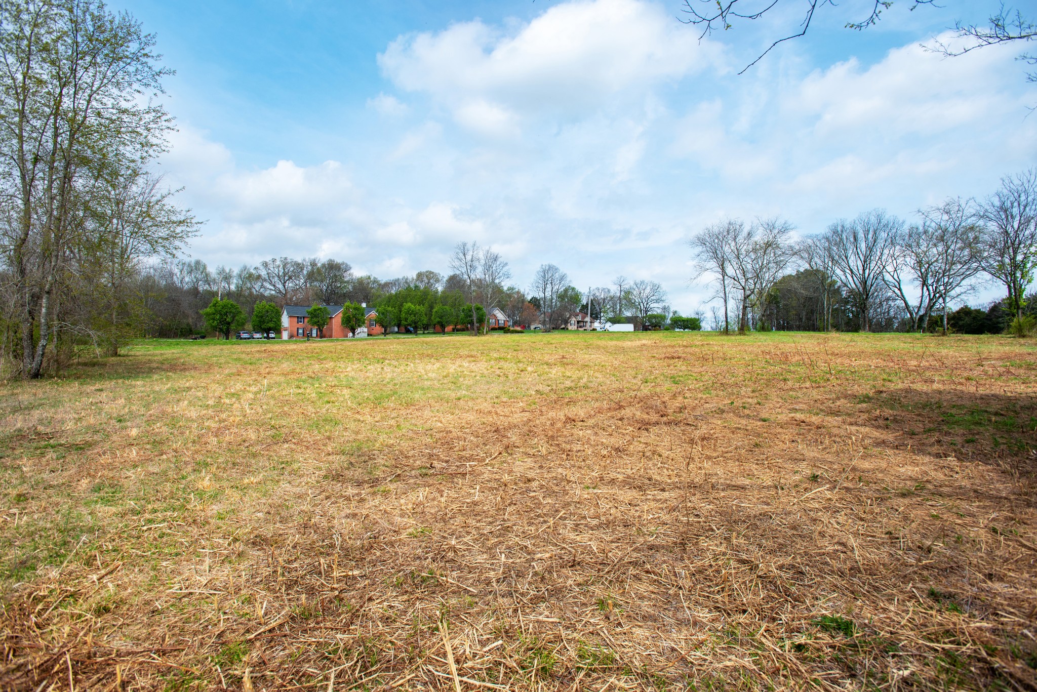 0 Oak Grove Road Lebanon, TN 37090 - Photo 11 of 13 a view of yard with trees in background