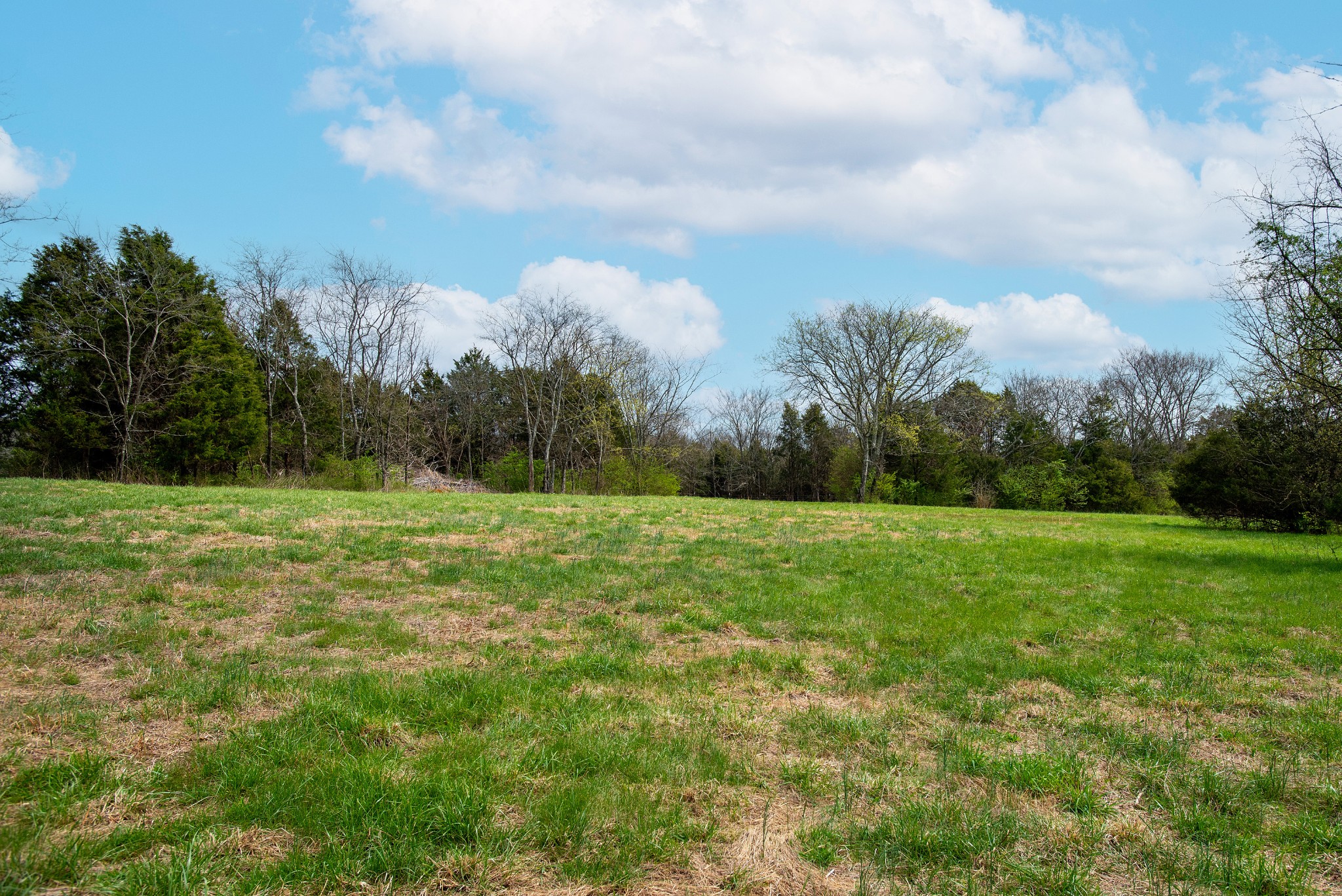 0 Oak Grove Road Lebanon, TN 37090 - Photo 2 of 13 a view of a field