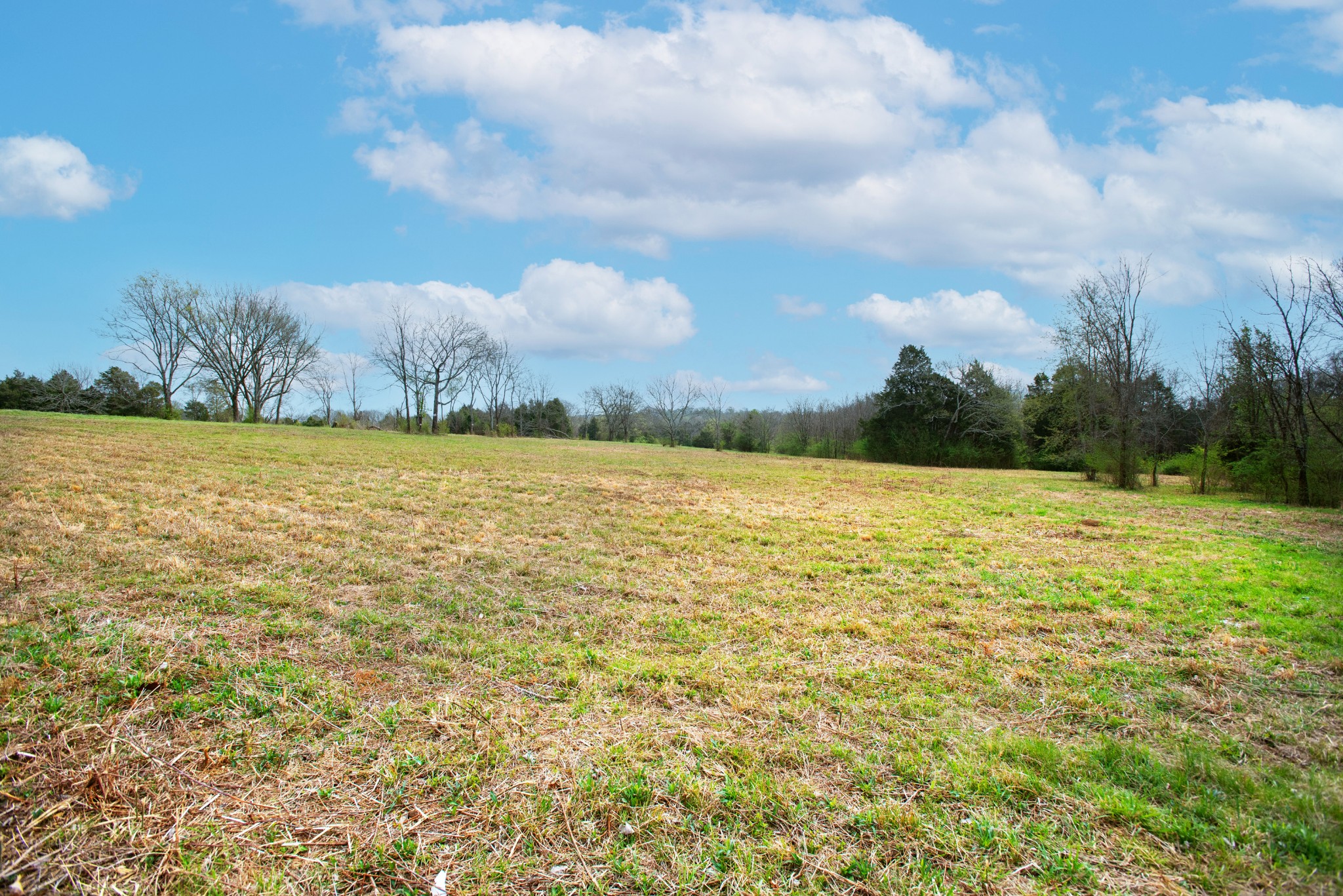 0 Oak Grove Road Lebanon, TN 37090 - Photo 4 of 13 a view of an ocean and beach