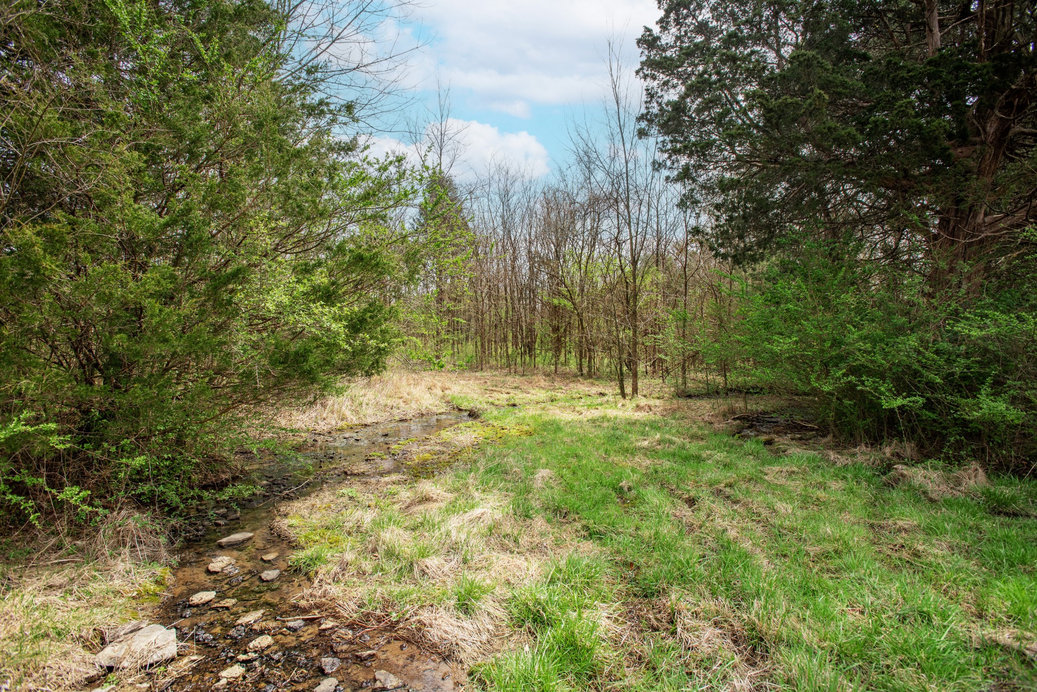 0 Oak Grove Road Lebanon, TN 37090 - Photo 6 of 13 a view of backyard with green space