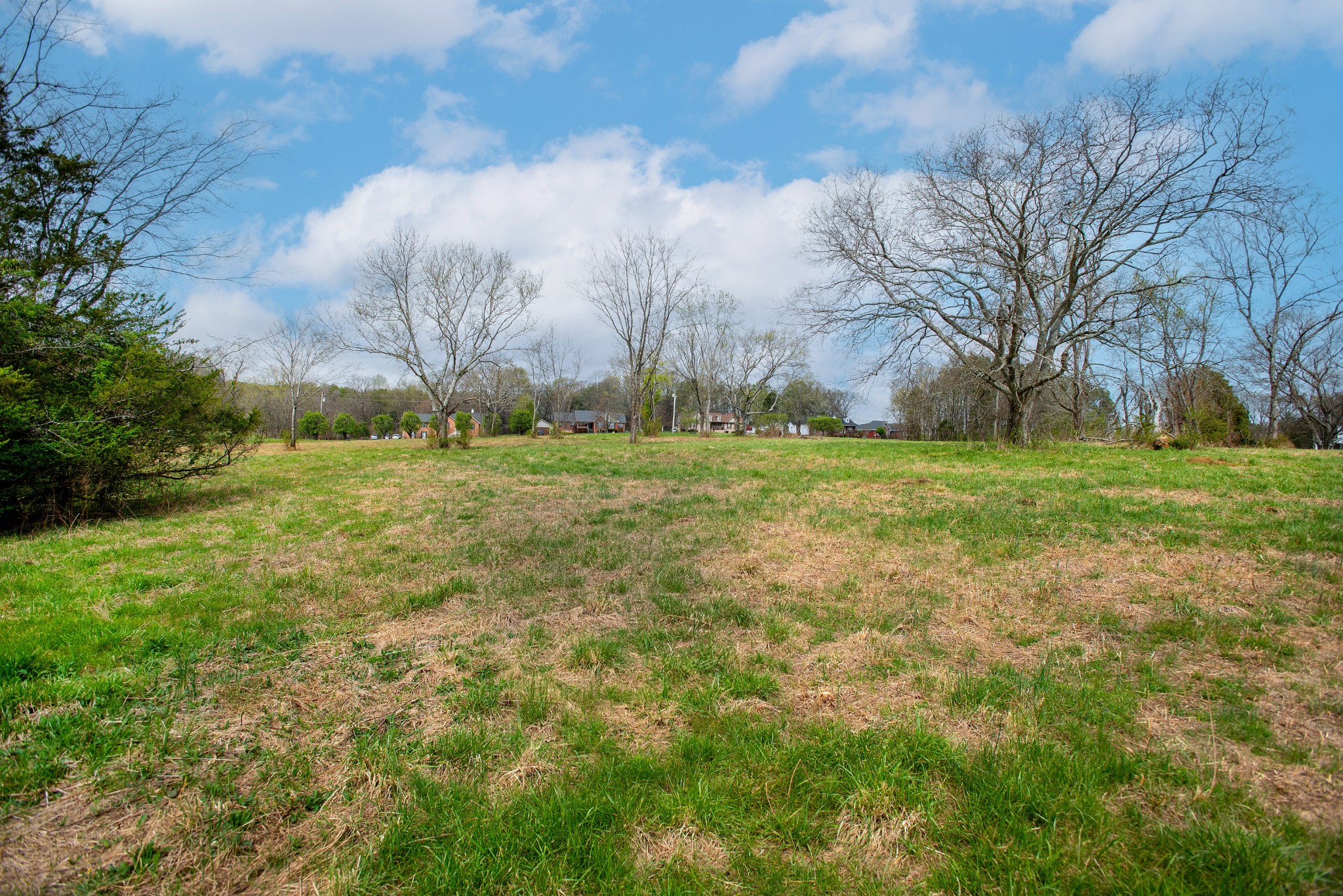 0 Oak Grove Road Lebanon, TN 37090 - Photo 8 of 13 a view of a field with trees around