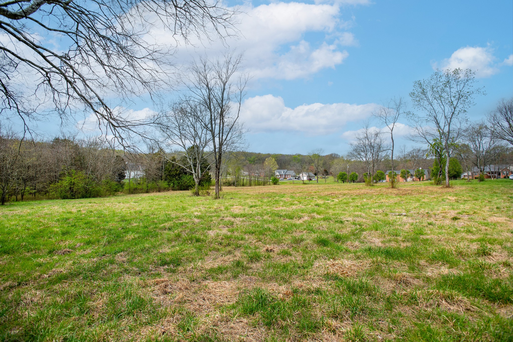 0 Oak Grove Road Lebanon, TN 37090 - Photo 9 of 13 a view of a field with an trees