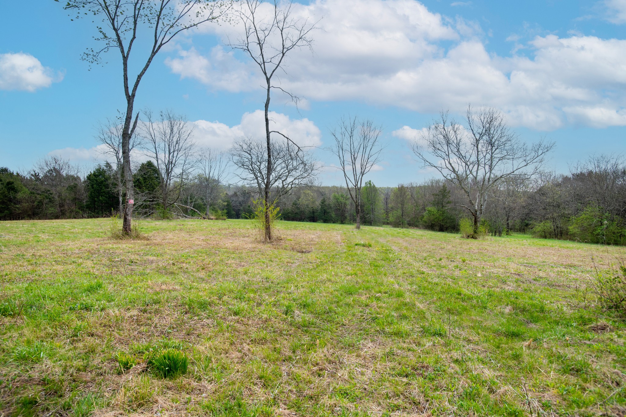 0 Oak Grove Road Lebanon, TN 37090 - Photo 10 of 13 a view of a garden with a tree