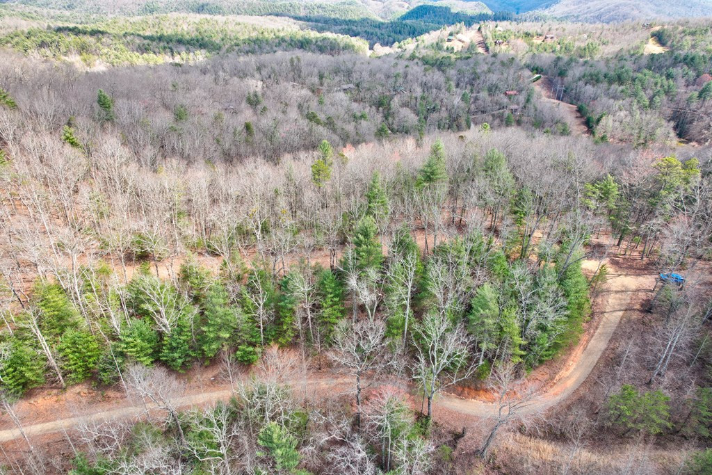 22-24 Rye Field Road Murphy, NC 28906 - Photo 16 of 26