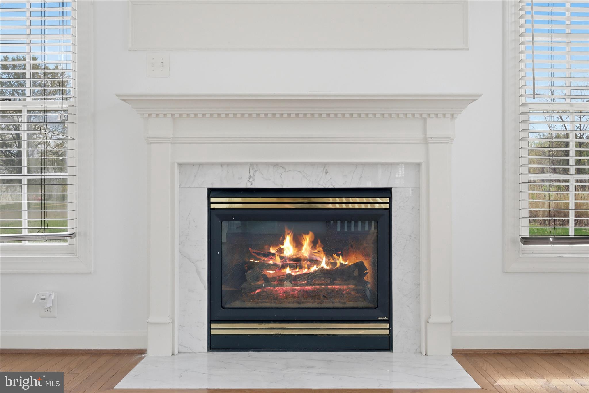 14170 Clubhouse Road Gainesville, VA 20155 - Photo 23 of 91 Cozy gas fireplace