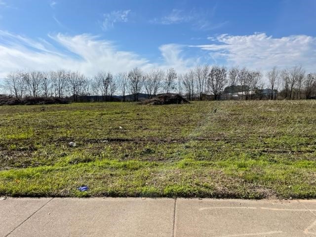 0 Bissonnet Street Houston, TX 77099 - Photo 2 of 4