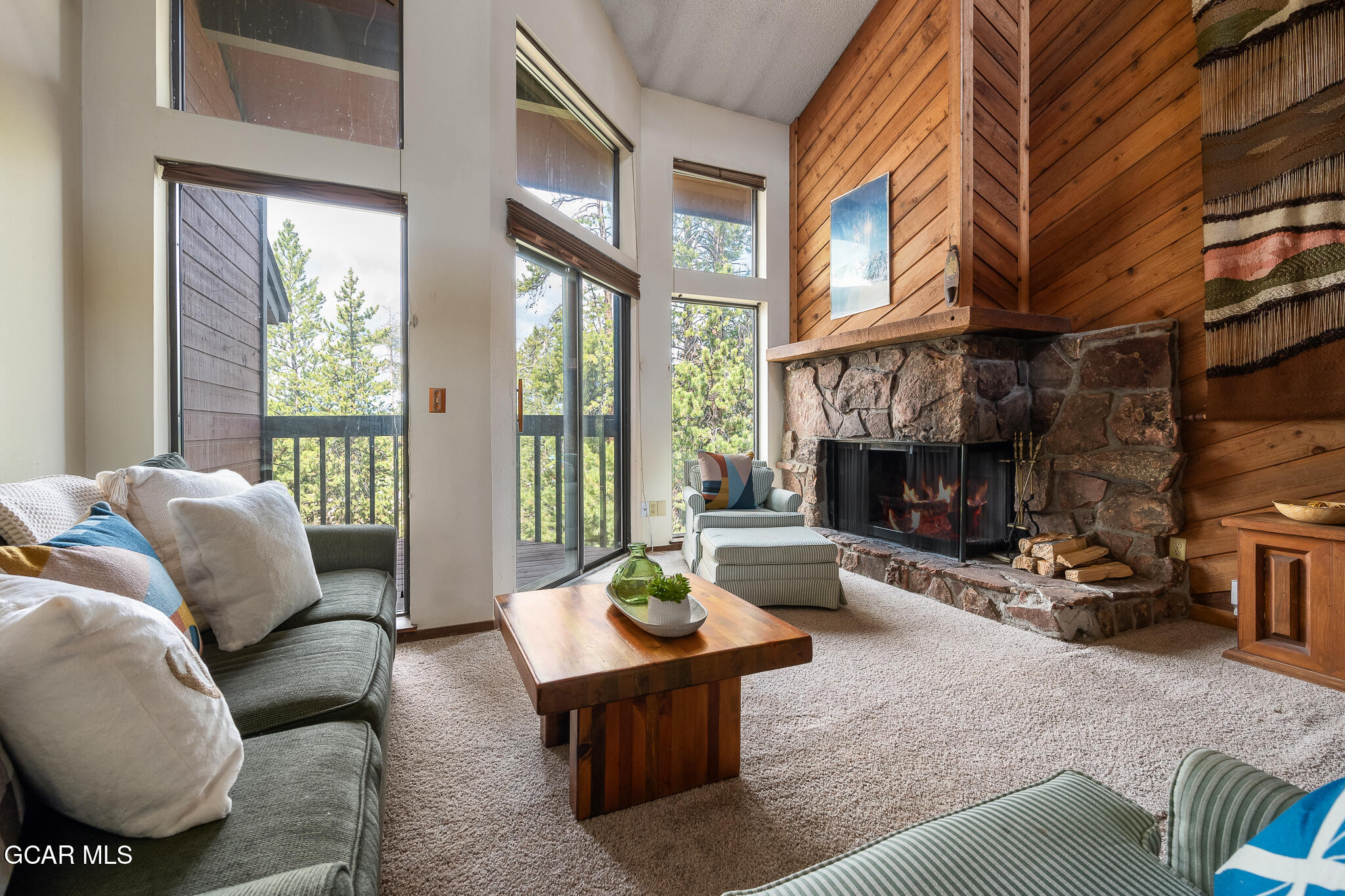 58 Cranmer Avenue, Unit 1E Fraser, CO 80442 - Photo 4 of 23 Wide open spaces