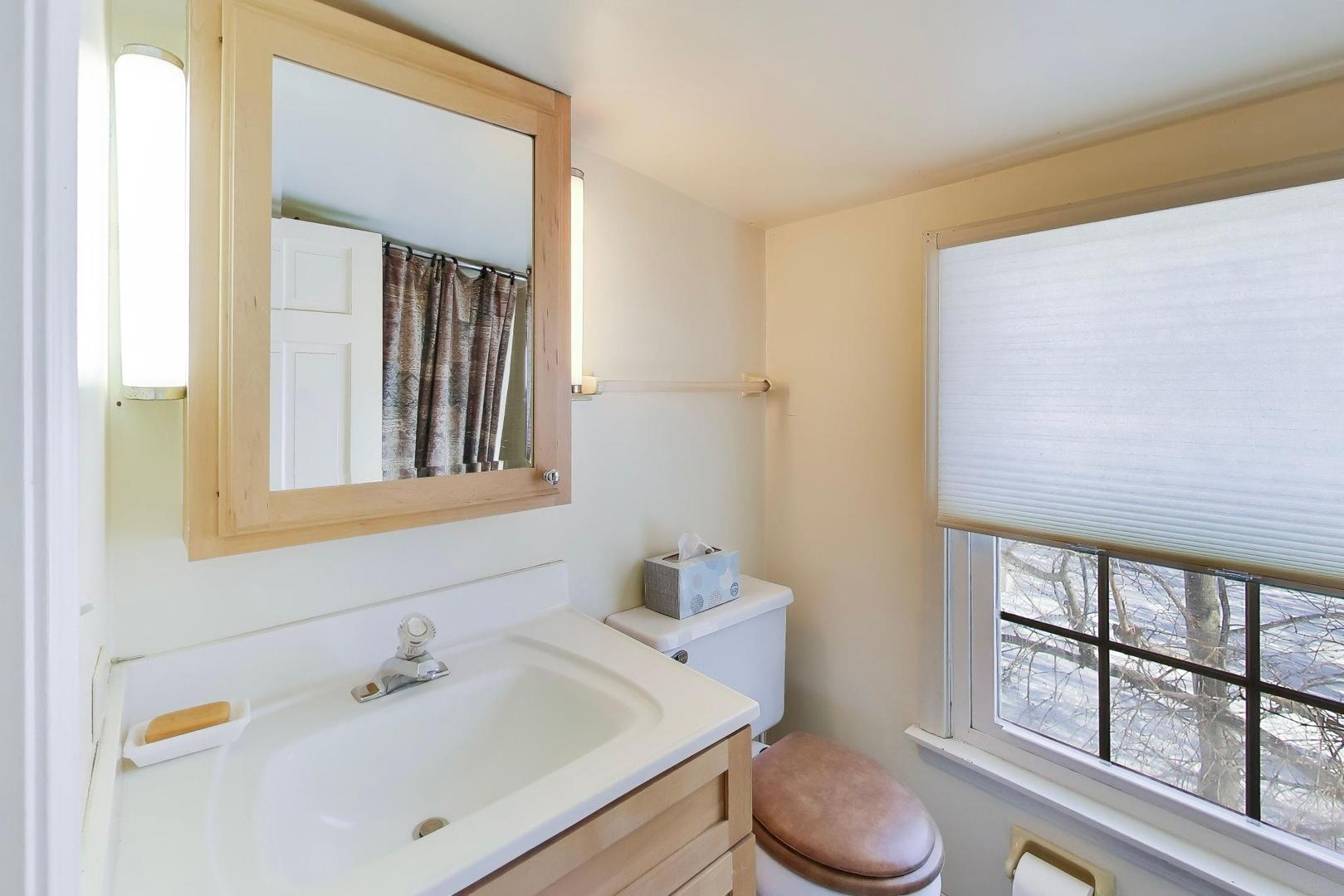 600 Riverwoods Road Mettawa, IL 60045 - Photo 38 of 49 a bathroom with a sink toilet and window