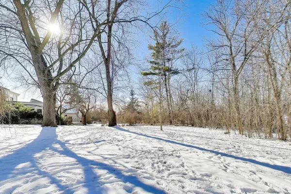 a street view covered with snow