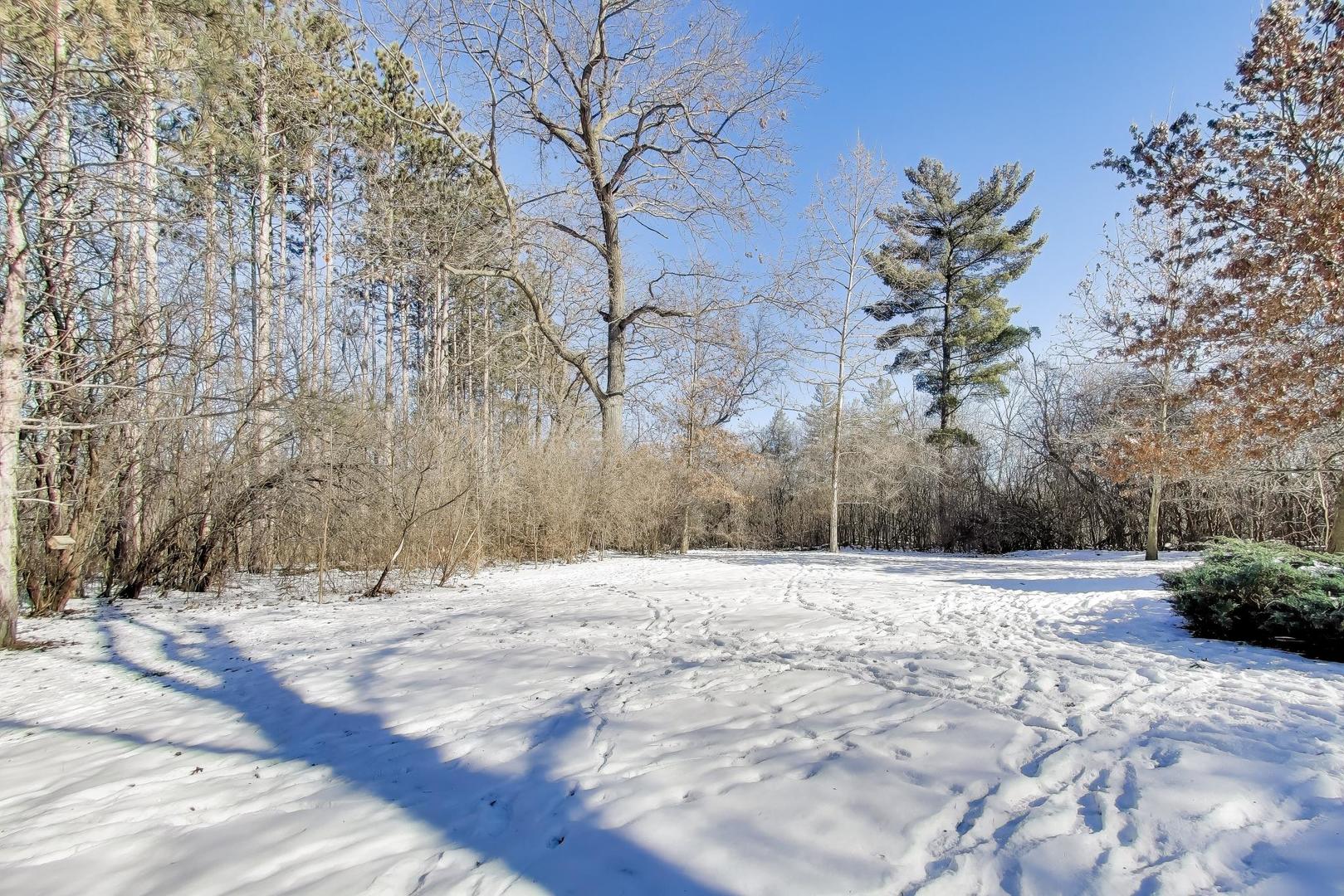 600 Riverwoods Road Mettawa, IL 60045 - Photo 43 of 49 a view of yard with trees