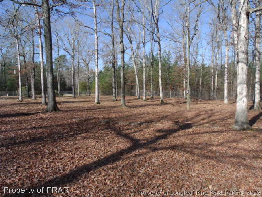 6930 River Bend Road Linden, NC 28356 - Photo 32 of 36 Gallery Image 32