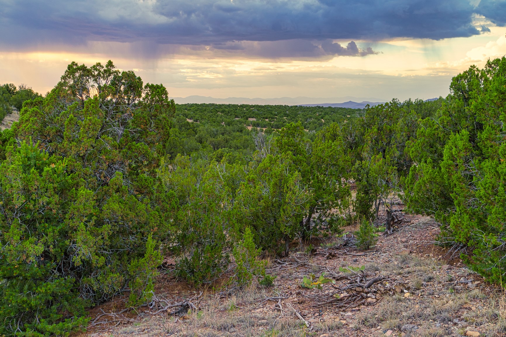176 Wagon Trail Road Cerrillos, NM 87010 - Photo 19 of 35