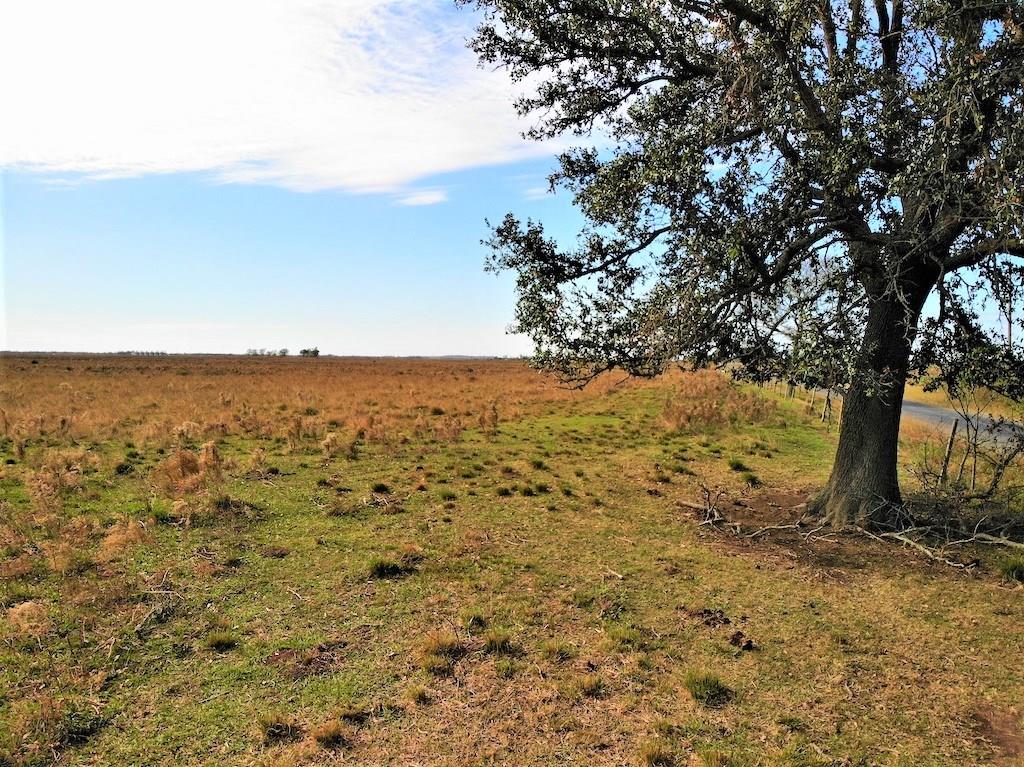 0 Blanchard Road Welsh, LA 70591 - Photo 2 of 9