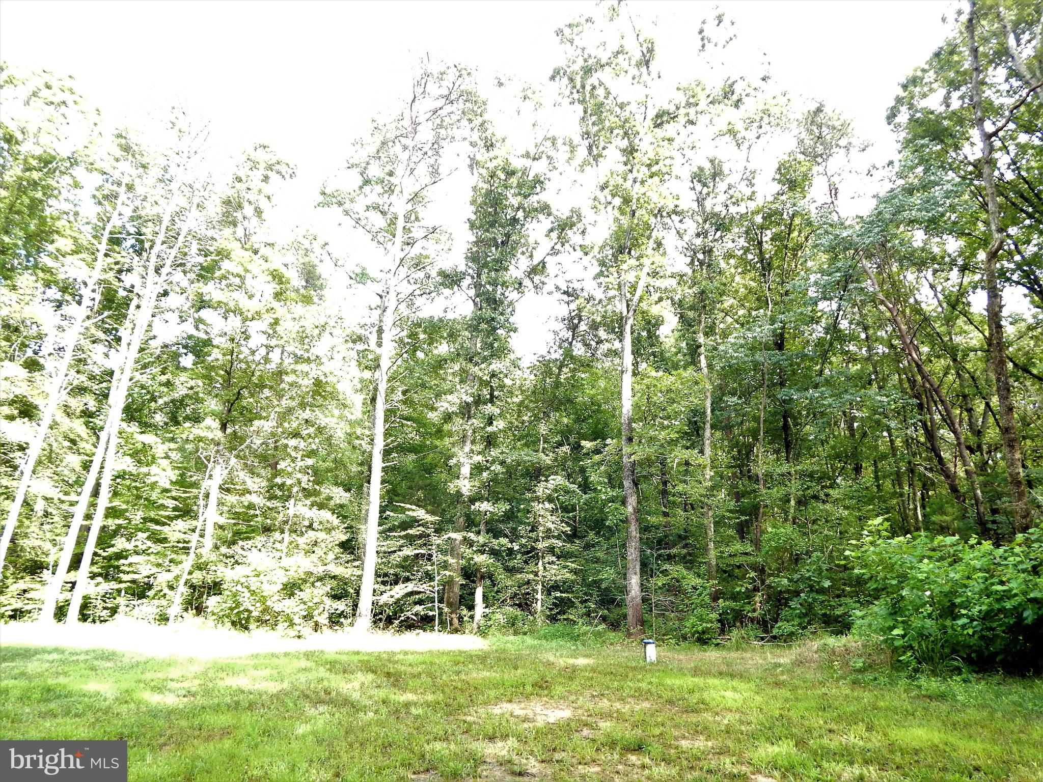 10122 Fairview Road Partlow, VA 22534 - Photo 48 of 51 Gallery Image 48